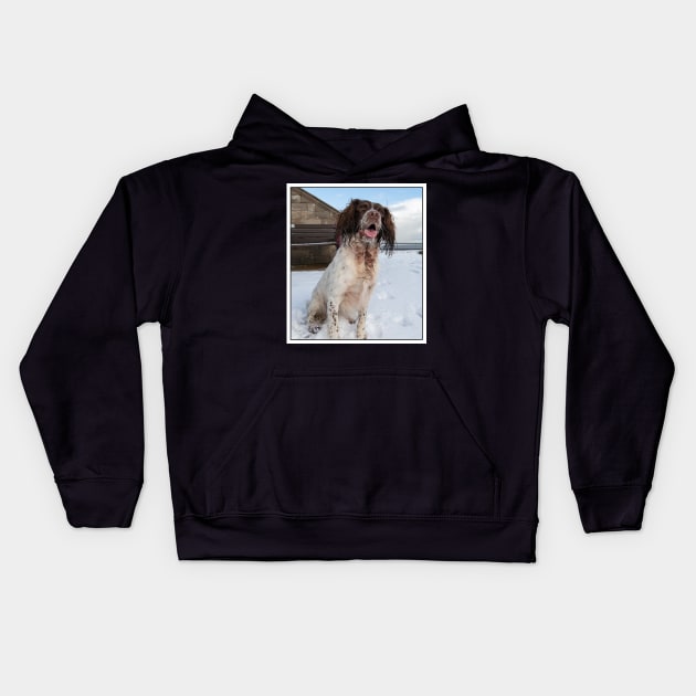 English Springer Spaniel sitting Kids Hoodie by Robert john